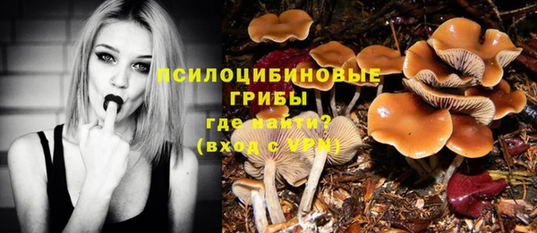 а пвп мука Абдулино