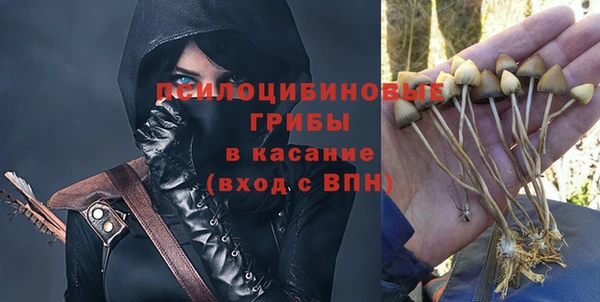 гашик Абинск