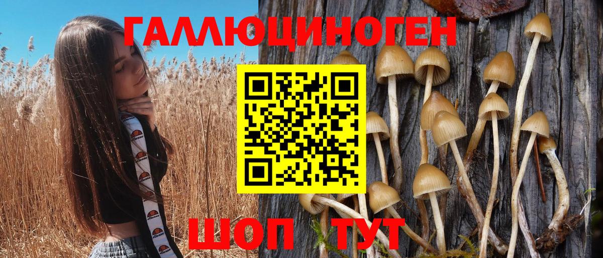 Ржев  Галлюциногенные грибы мухоморы  Вход с VPN 